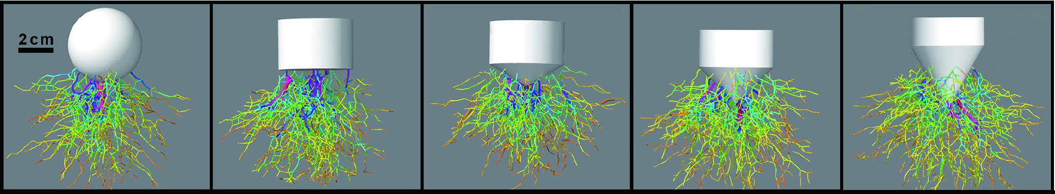_images/collisionForceChain.jpg